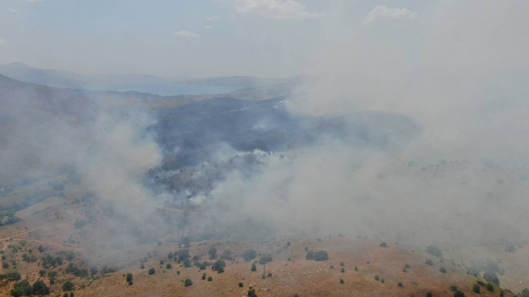 Elazığ'da orman yangını - Resim: 8